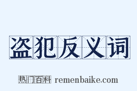 盗犯反义词是什么意思的图片
